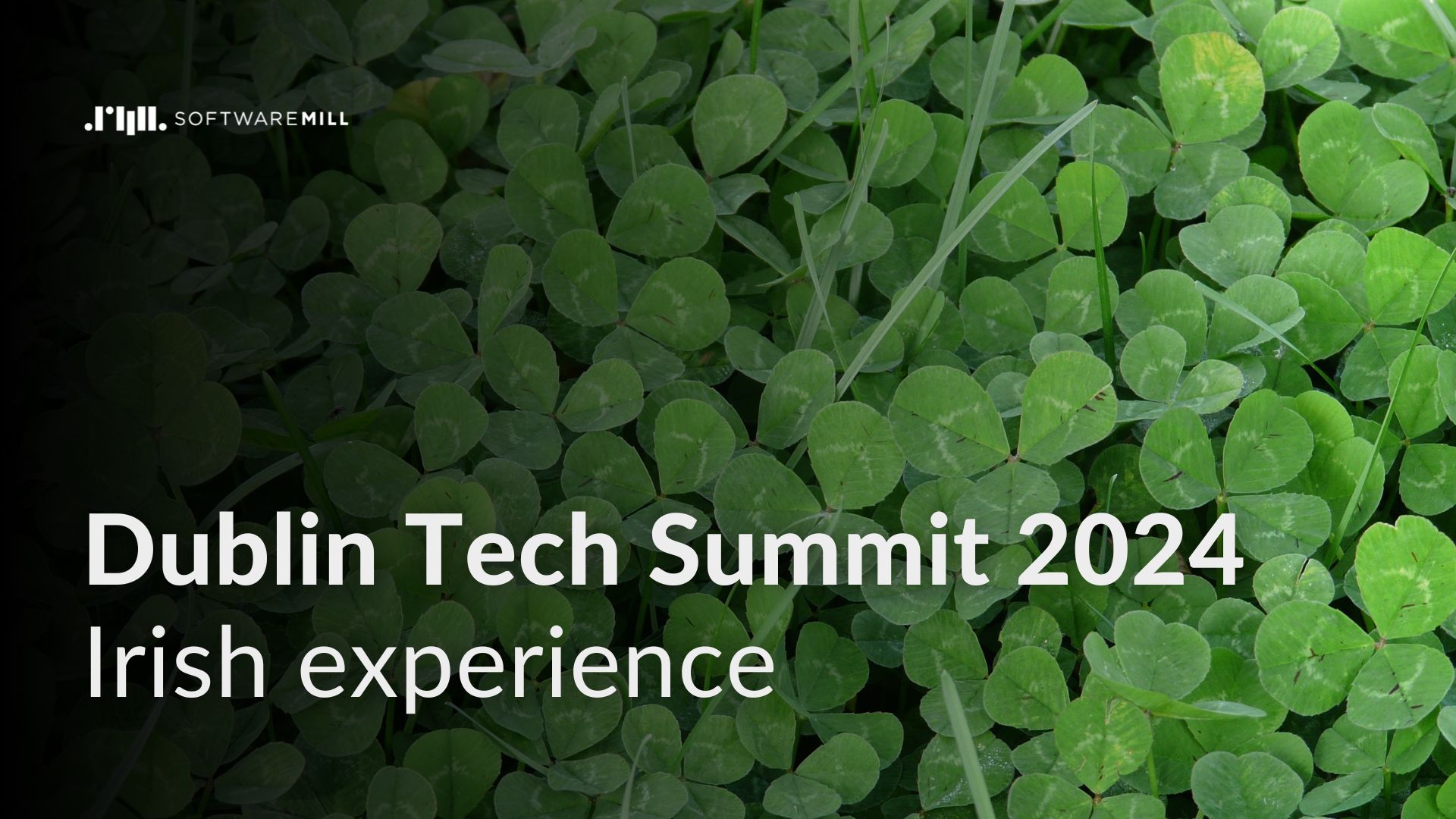 Irish experience: Dublin Tech Summit 2024 webp image