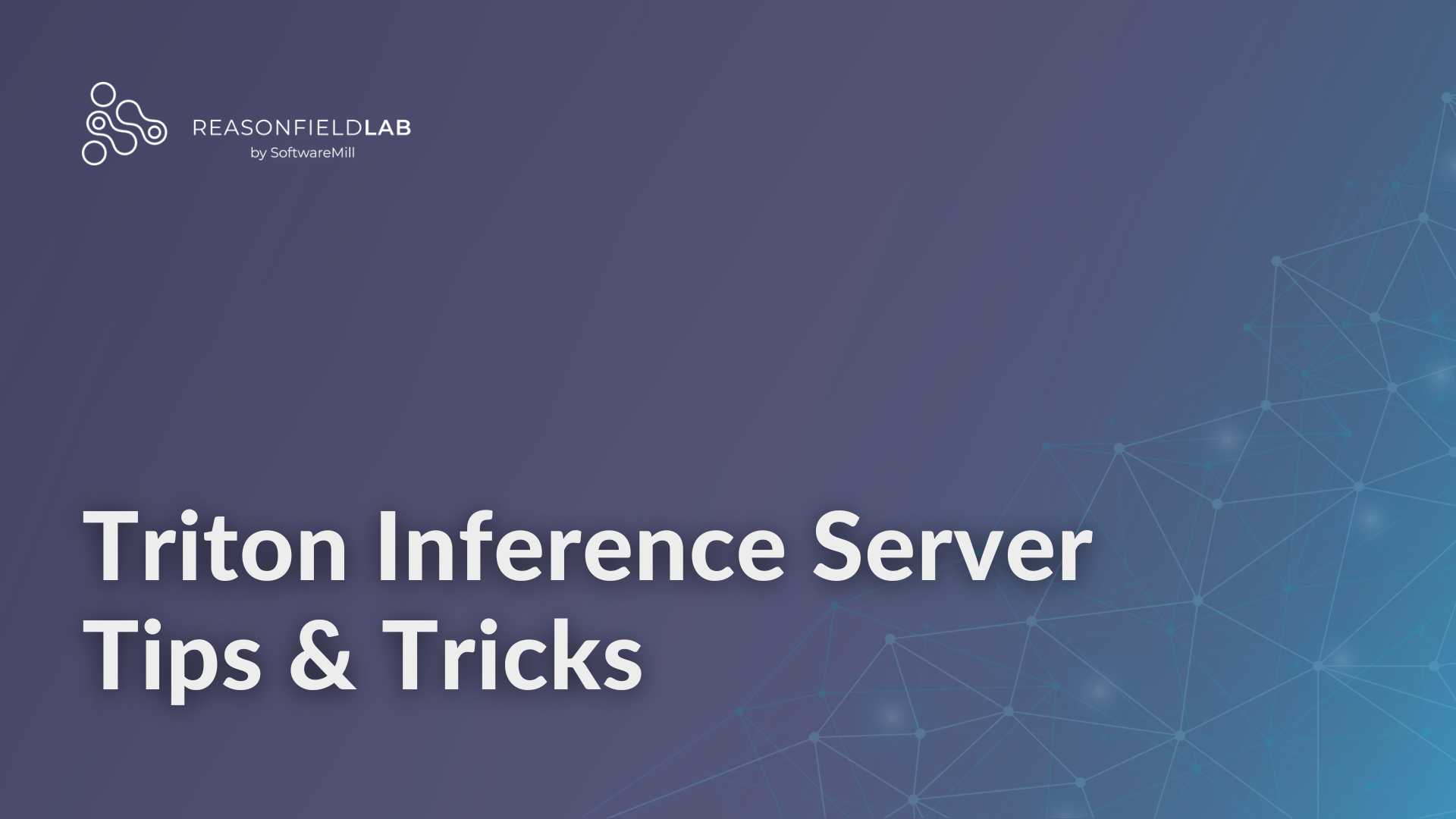 Triton Inference Server Tips & Tricks webp image