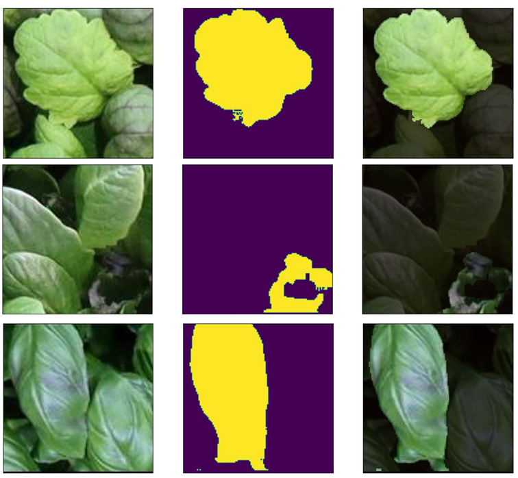 Segmentation masks of leaf diseases