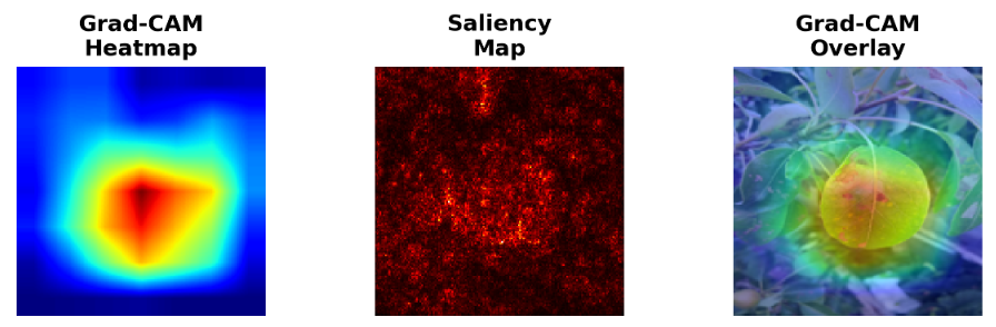 maps comparison