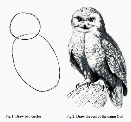 drawning-owl drawning-owl
