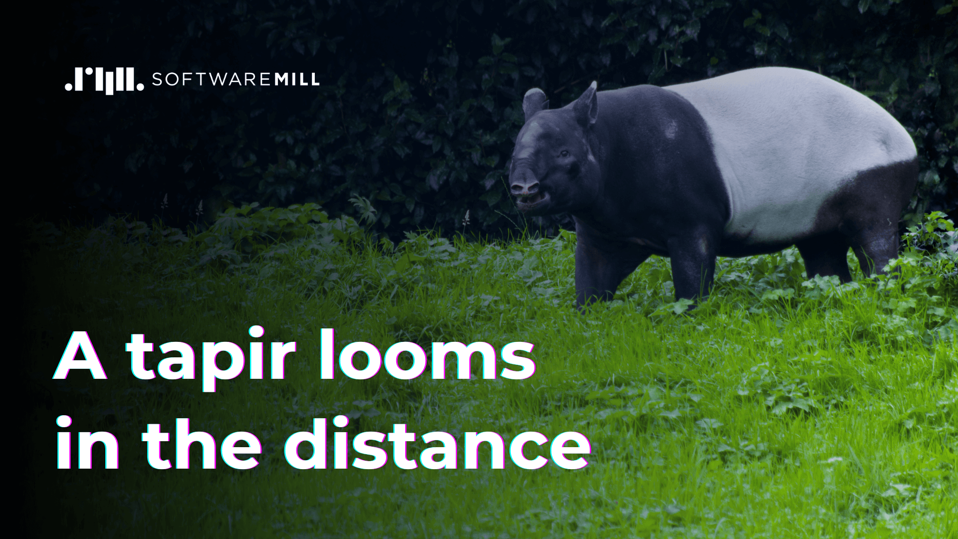 A tapir looms in the distance webp image