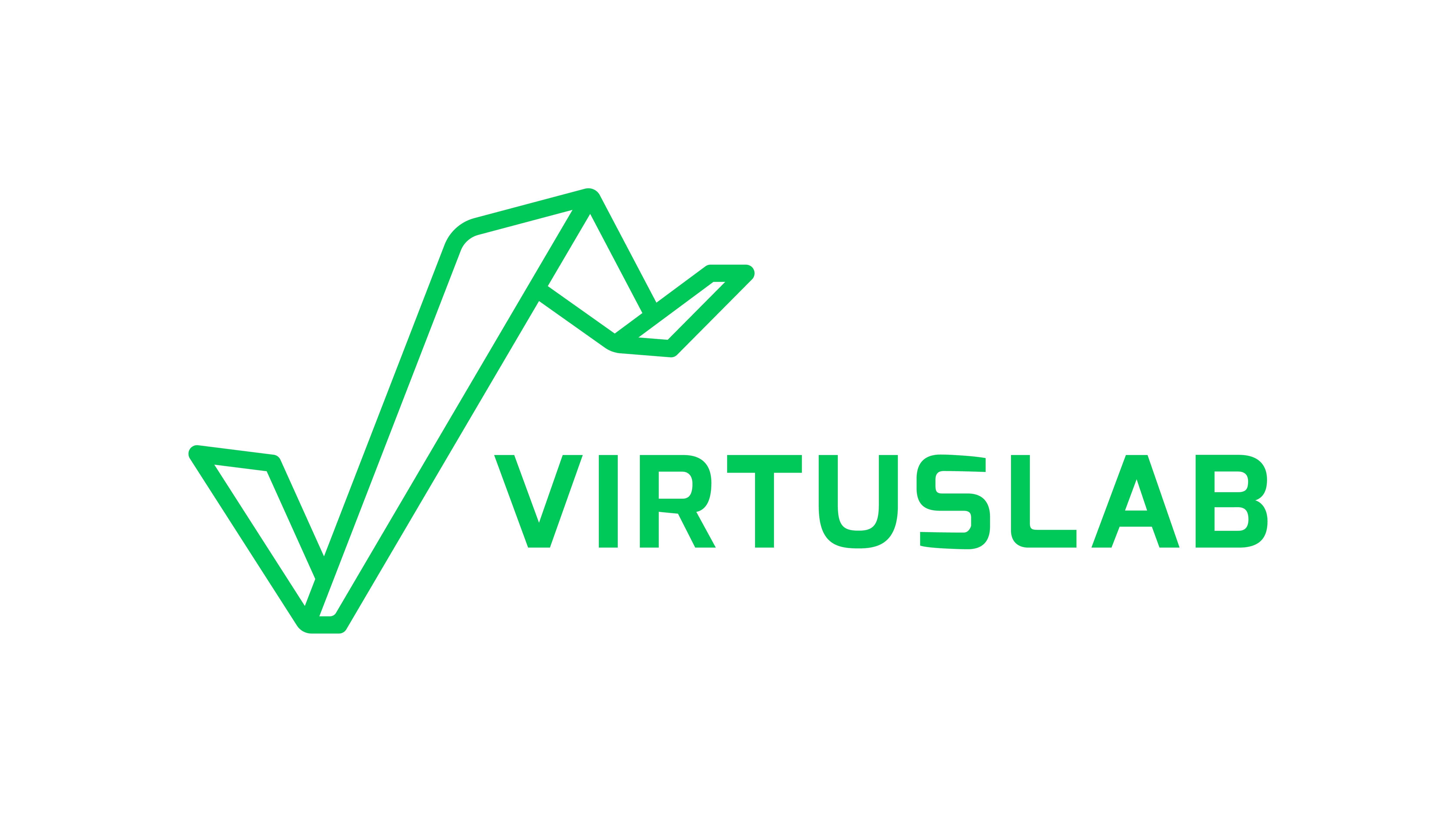 the virtuslab group logo